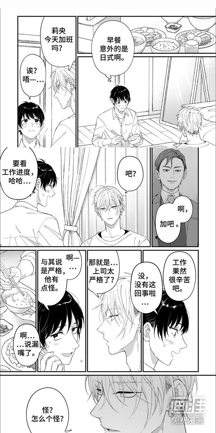 第11章：爱心便当