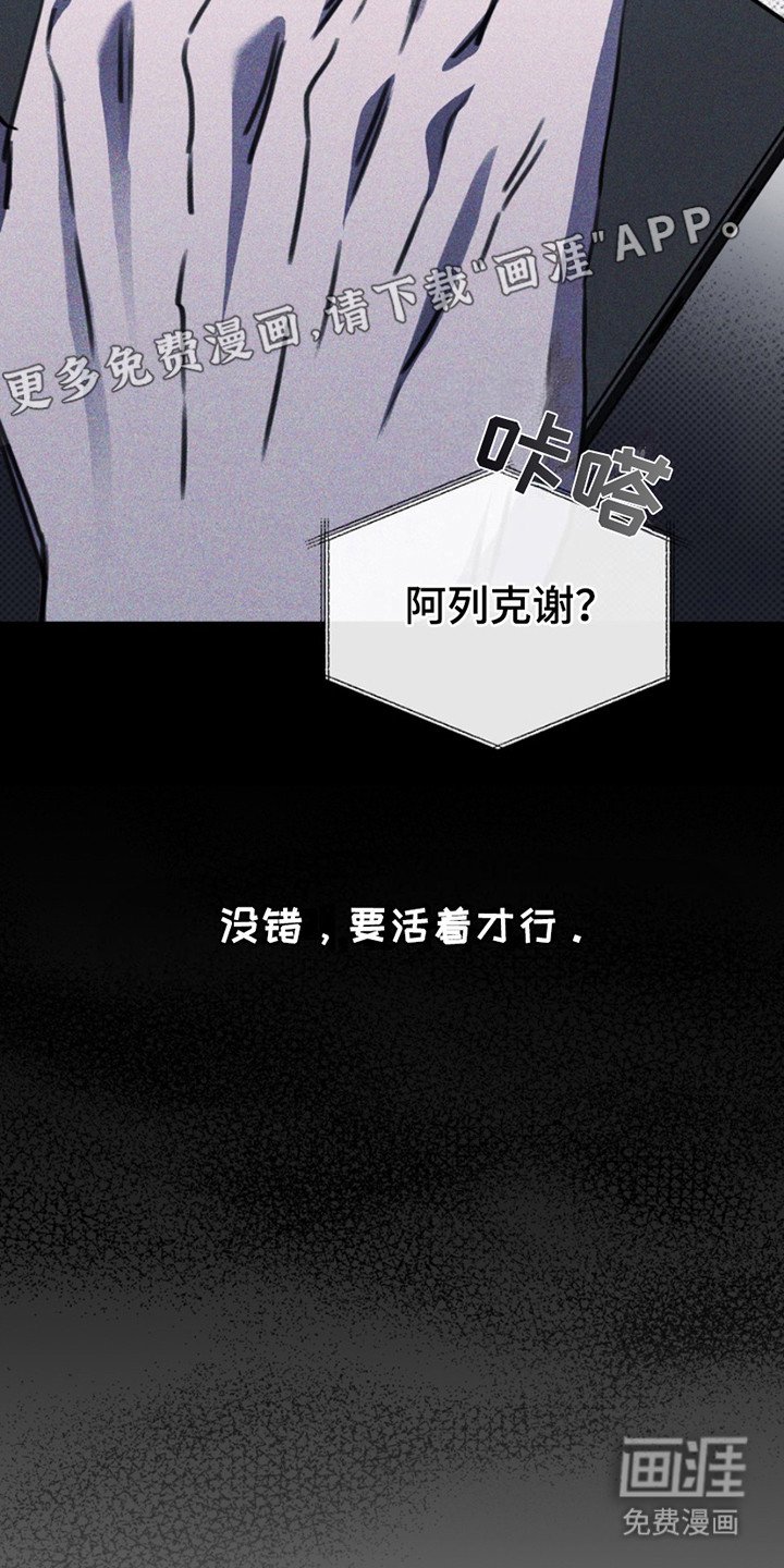 第10章：挑选