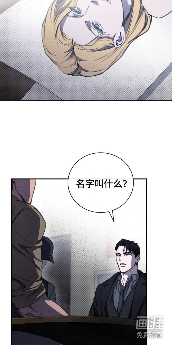 第10章：挑选