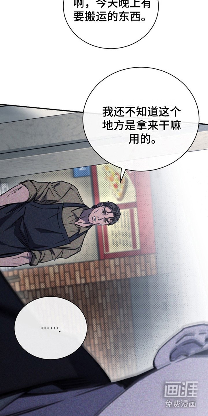 第12章：新面孔