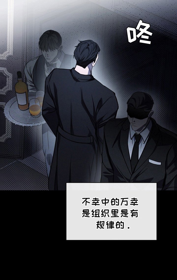 第12章：新面孔