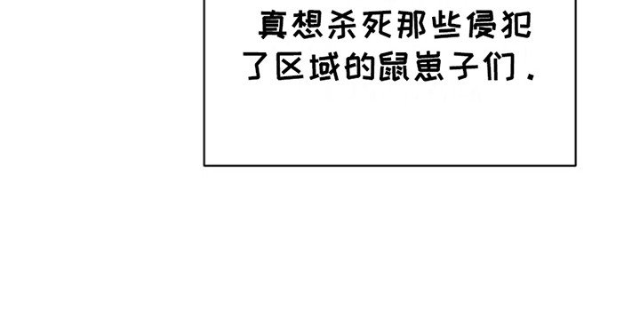第12章：新面孔