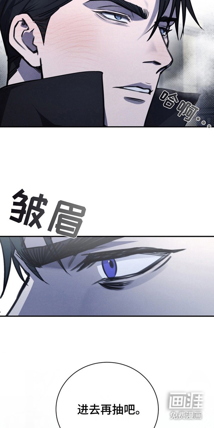 第14章：是时候了