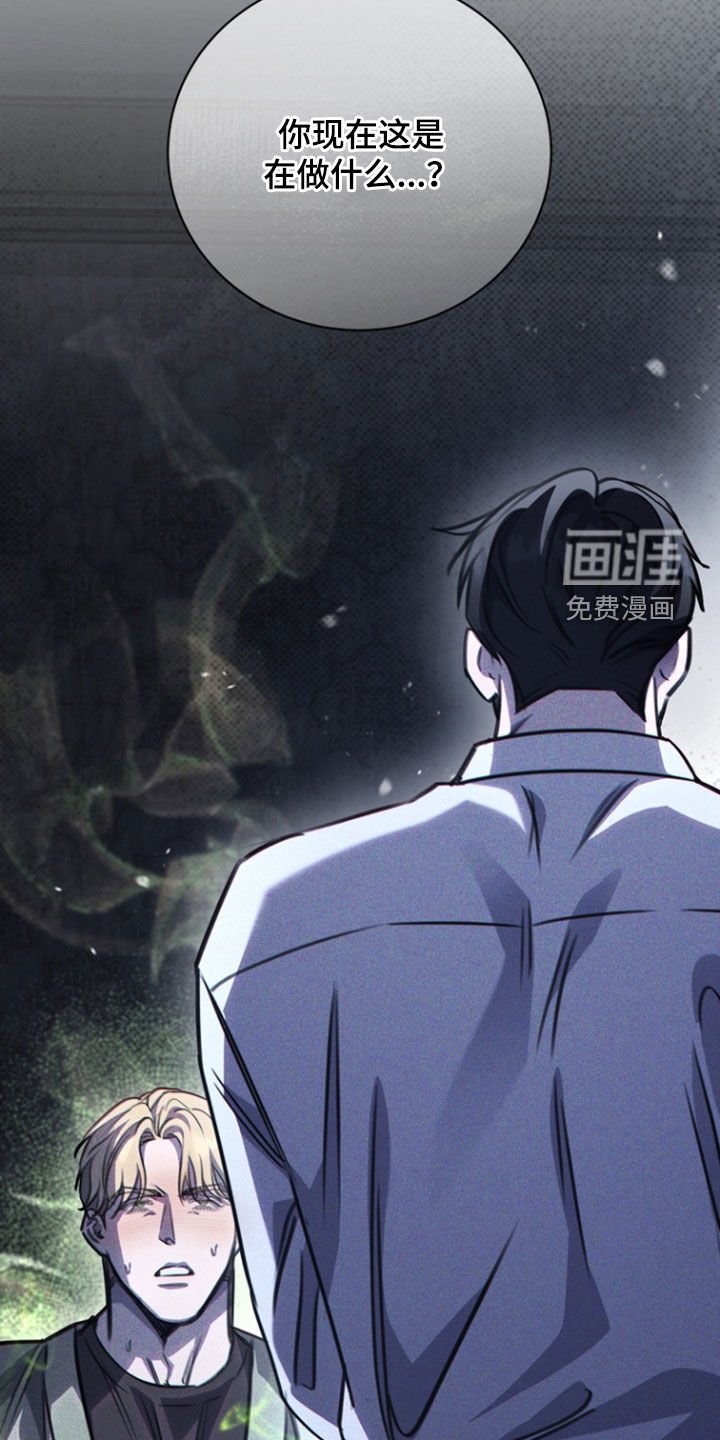 第28章：你会喜欢的