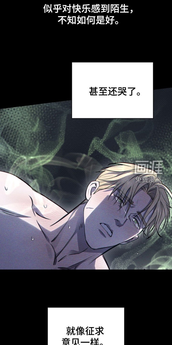 第33章：为什么！