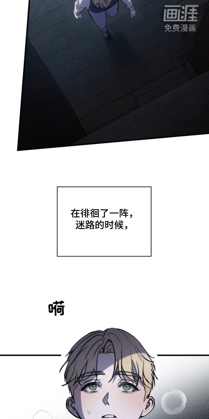 第36章：软肋