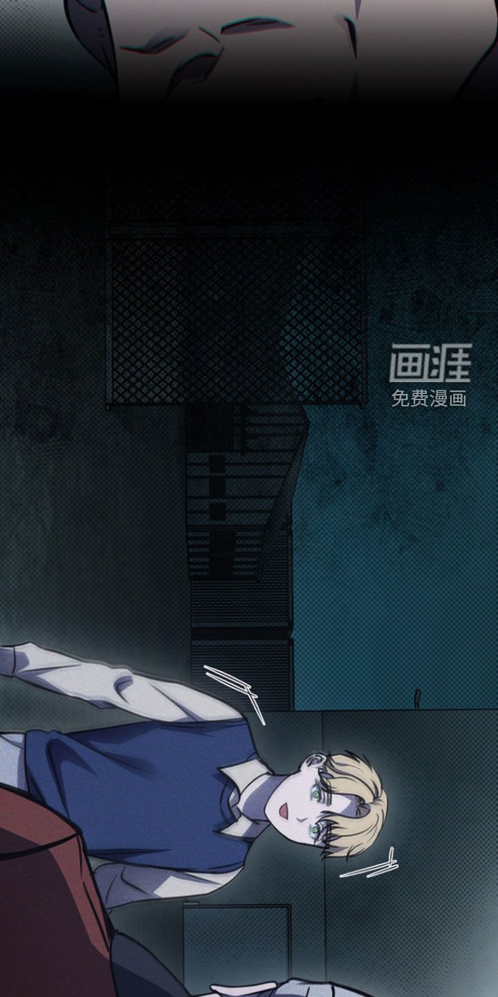 第36章：软肋