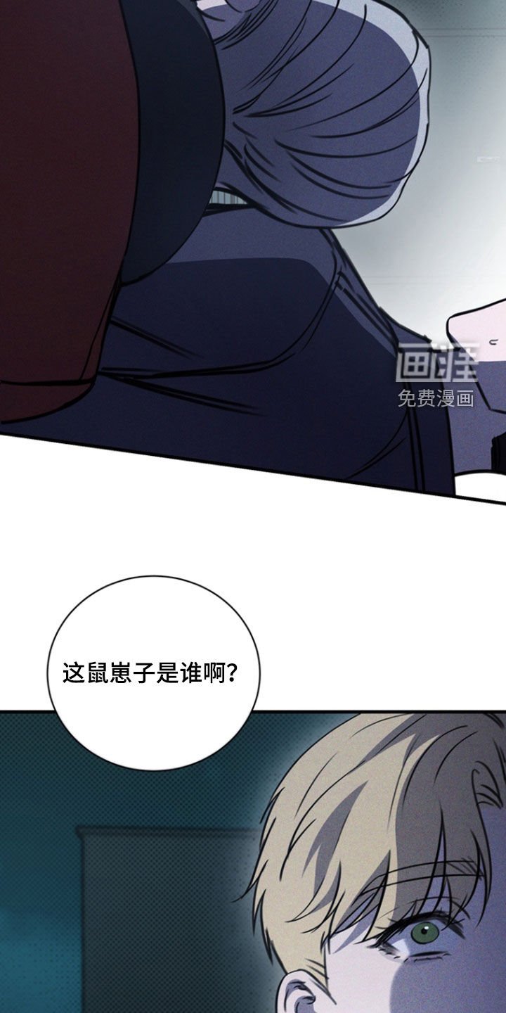 第36章：软肋