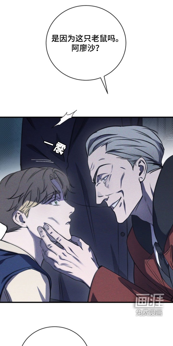 第36章：软肋