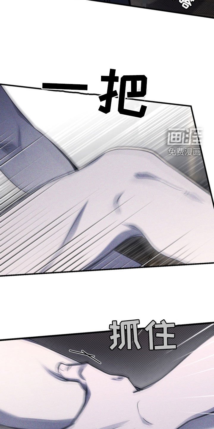 第41章：最相爱的瞬间