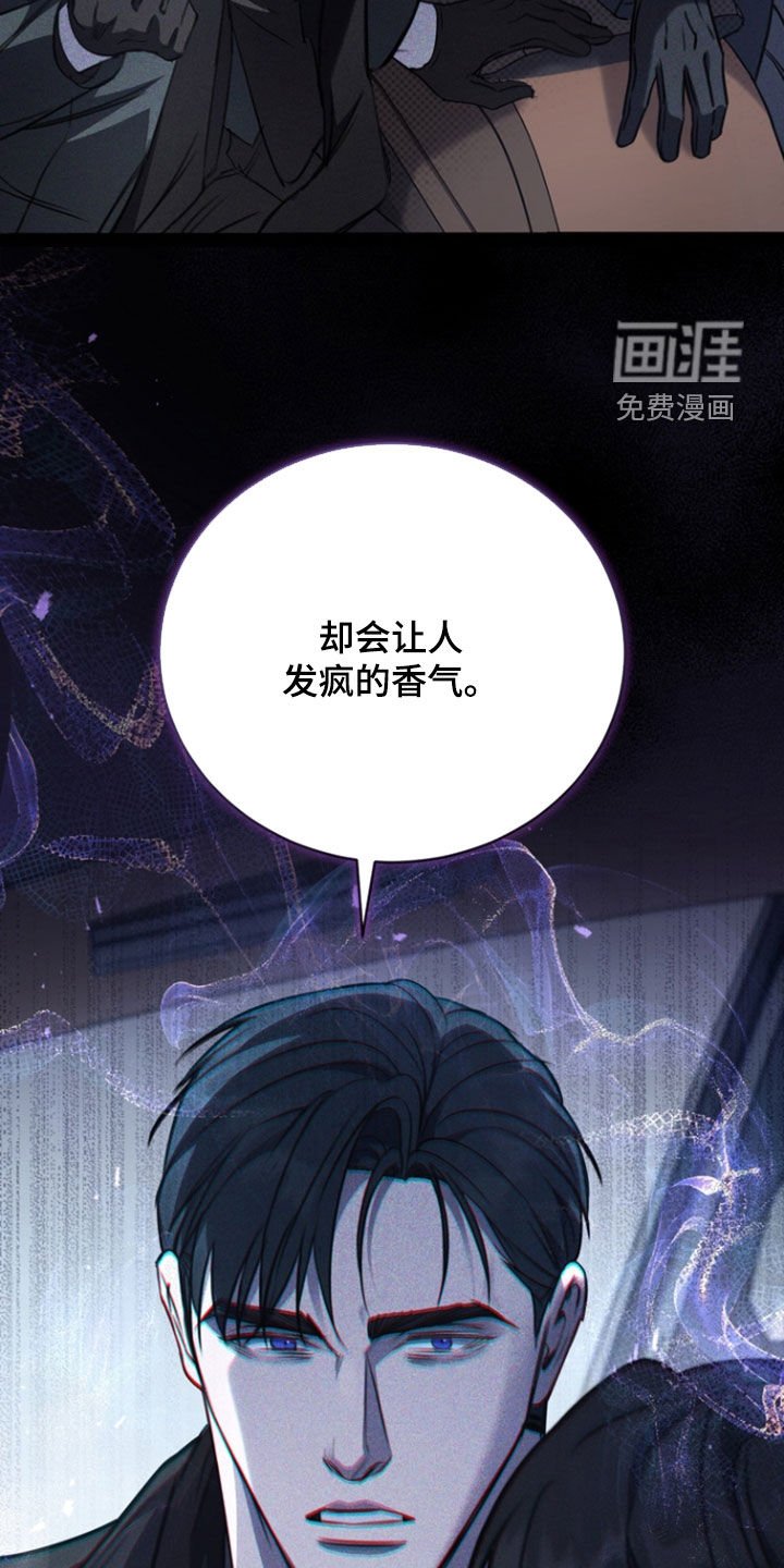 第50章：香气