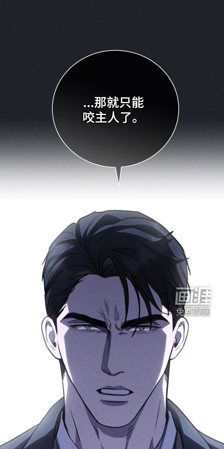 第54章：你是在等我吗