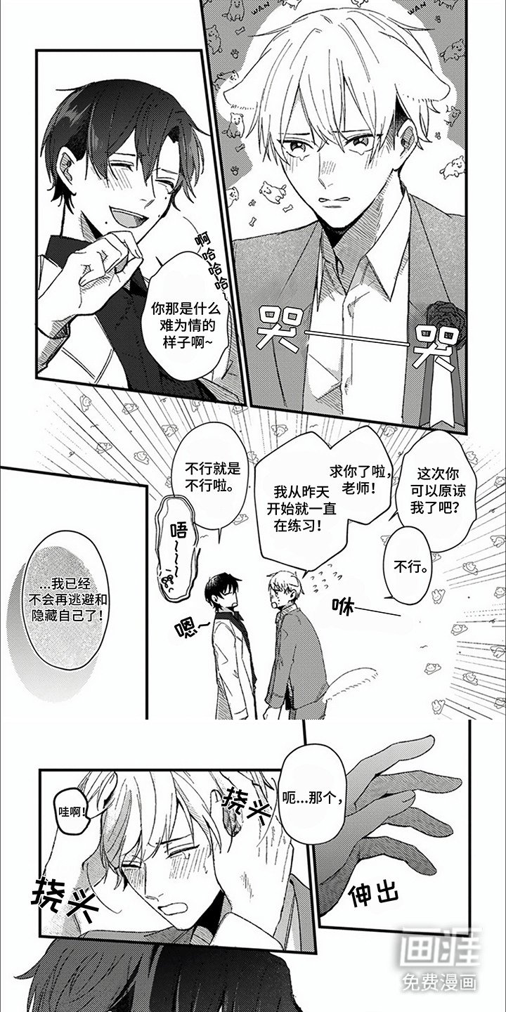 第15章：下定决心