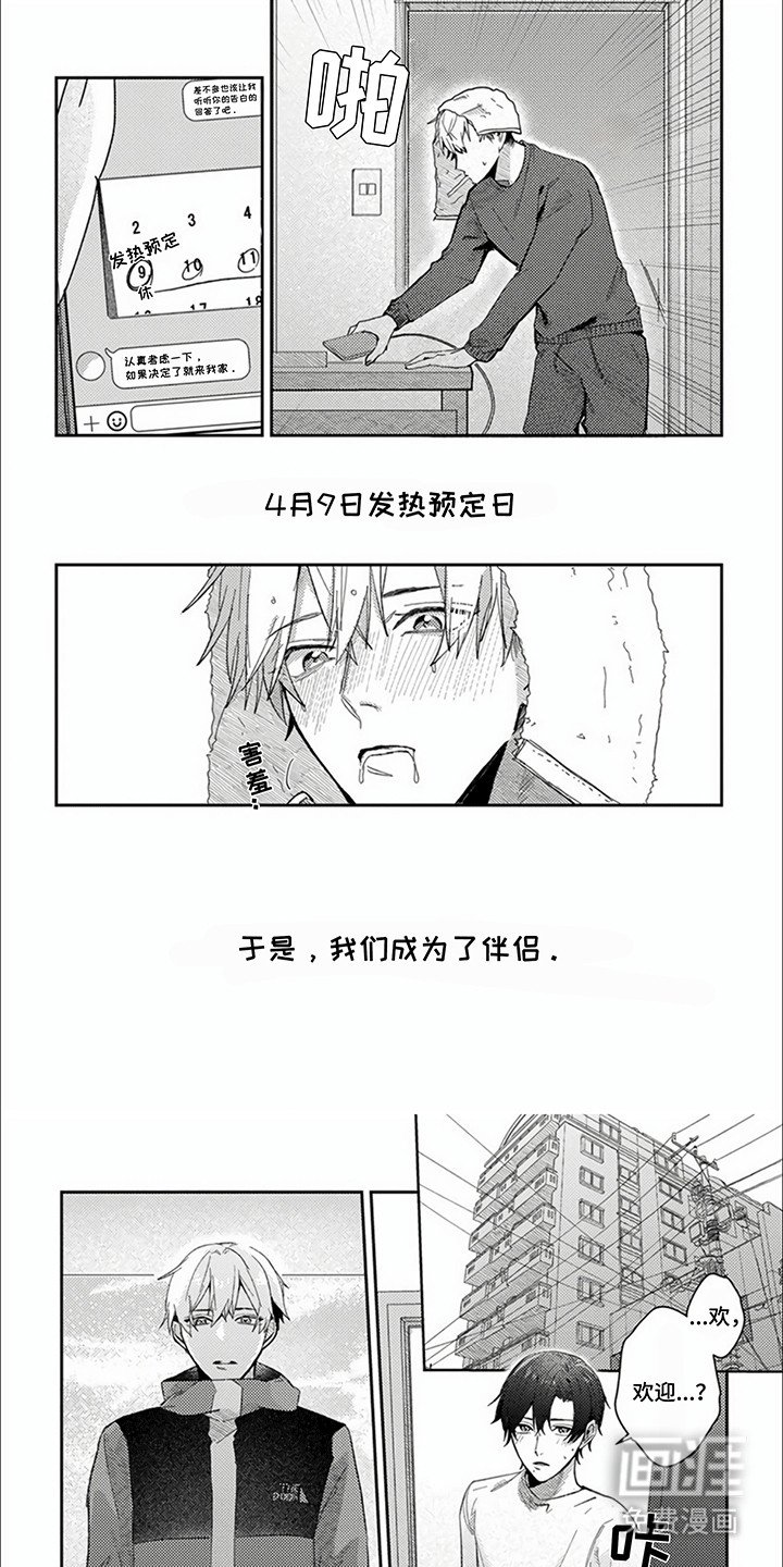 第15章：下定决心