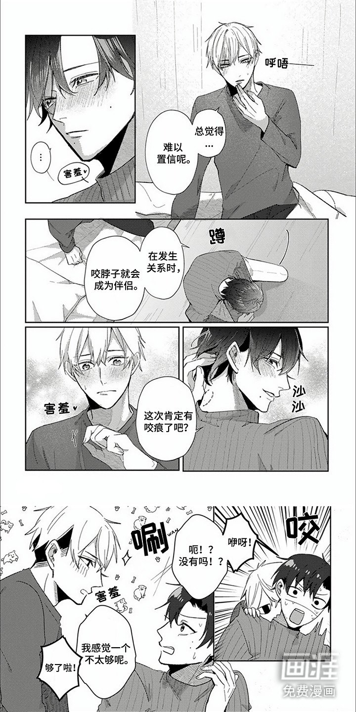 第16章：真正的伴侣（完结）