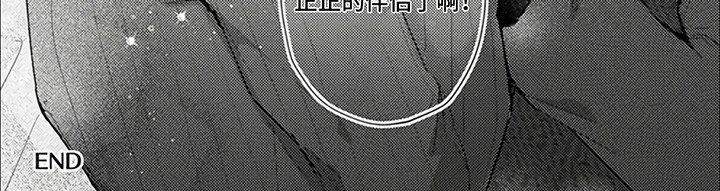 第16章：真正的伴侣（完结）