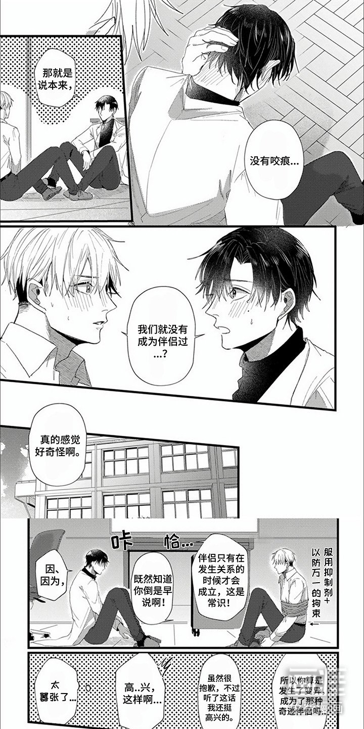 第4章：不是伴侣