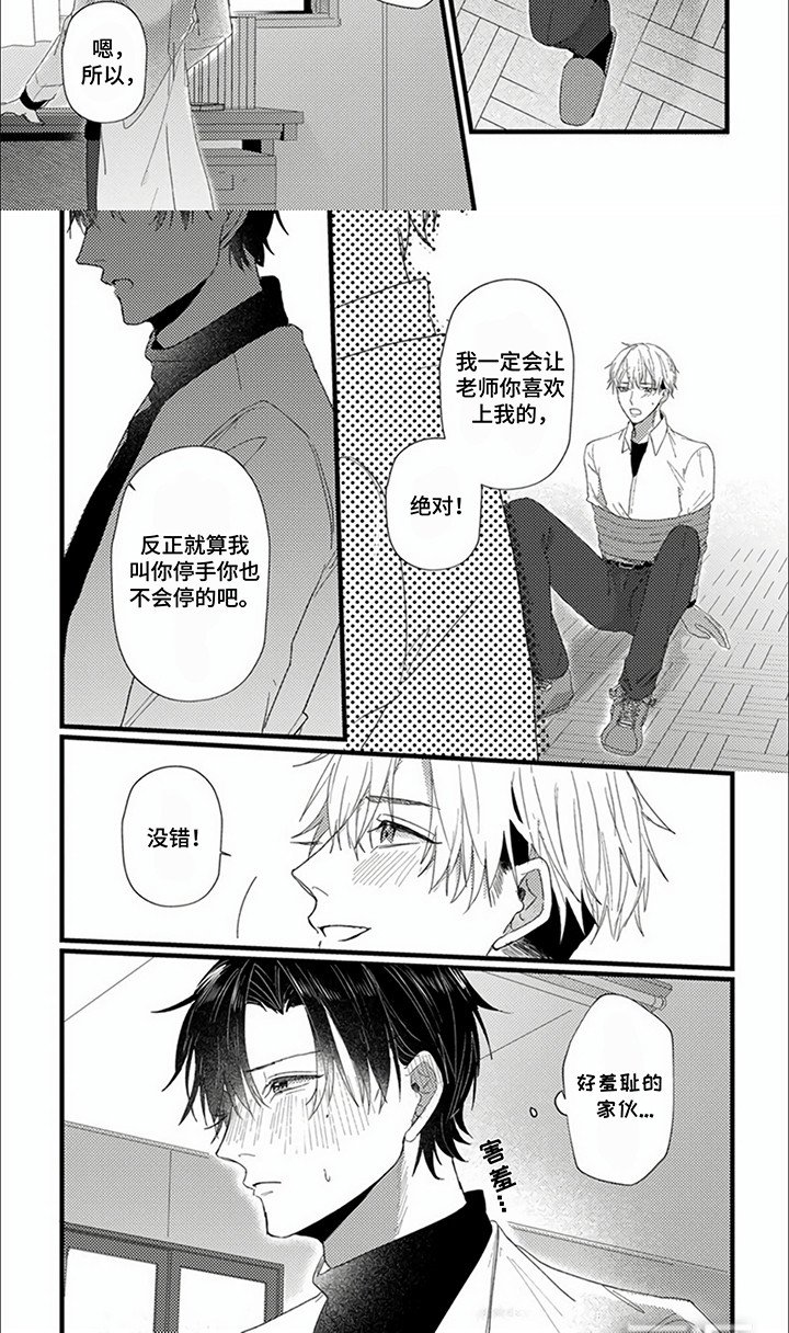 第4章：不是伴侣