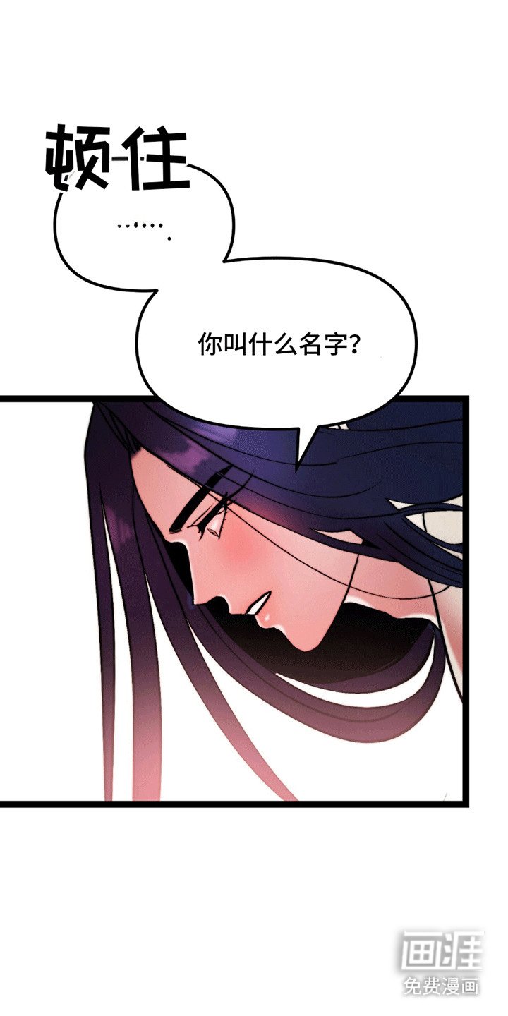 第3章：洞房花烛夜
