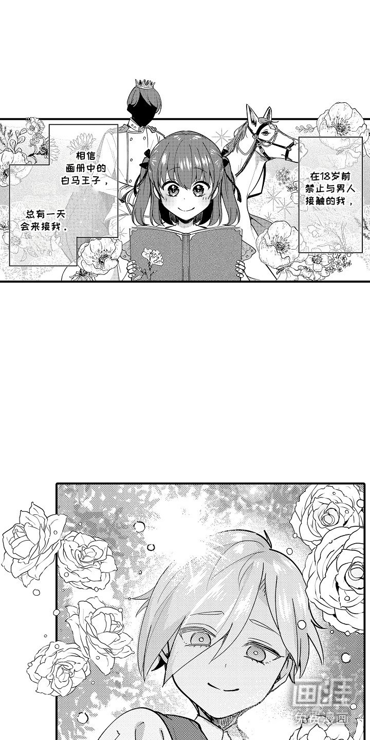 第13章：王子