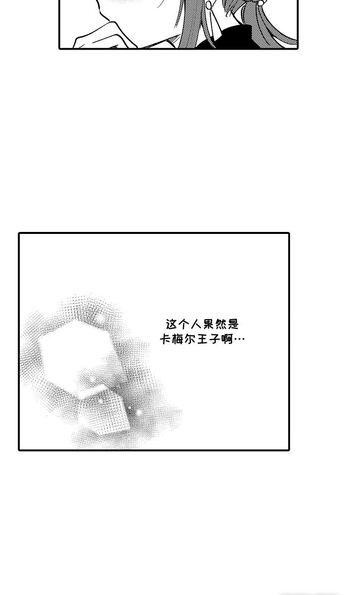 第13章：王子