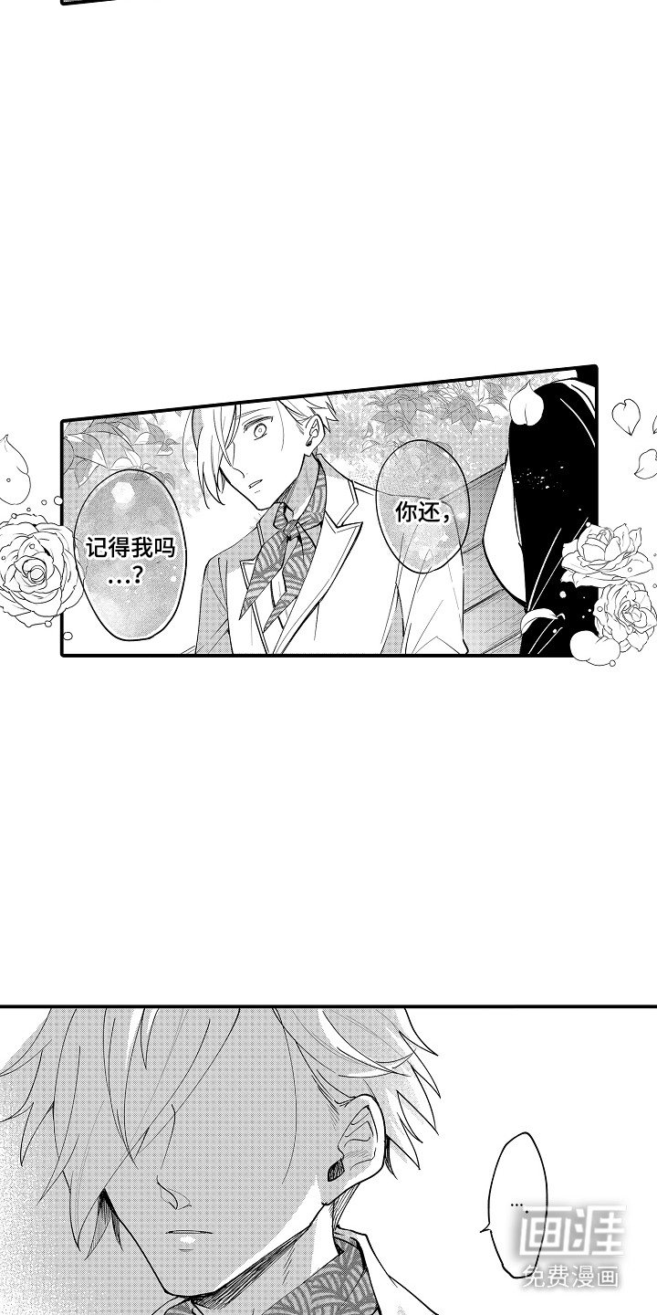 第14章：没有记忆