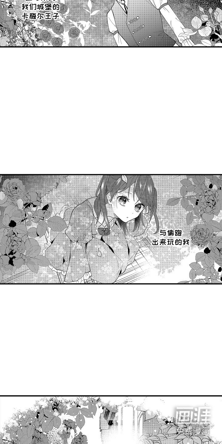 第8章：想更了解