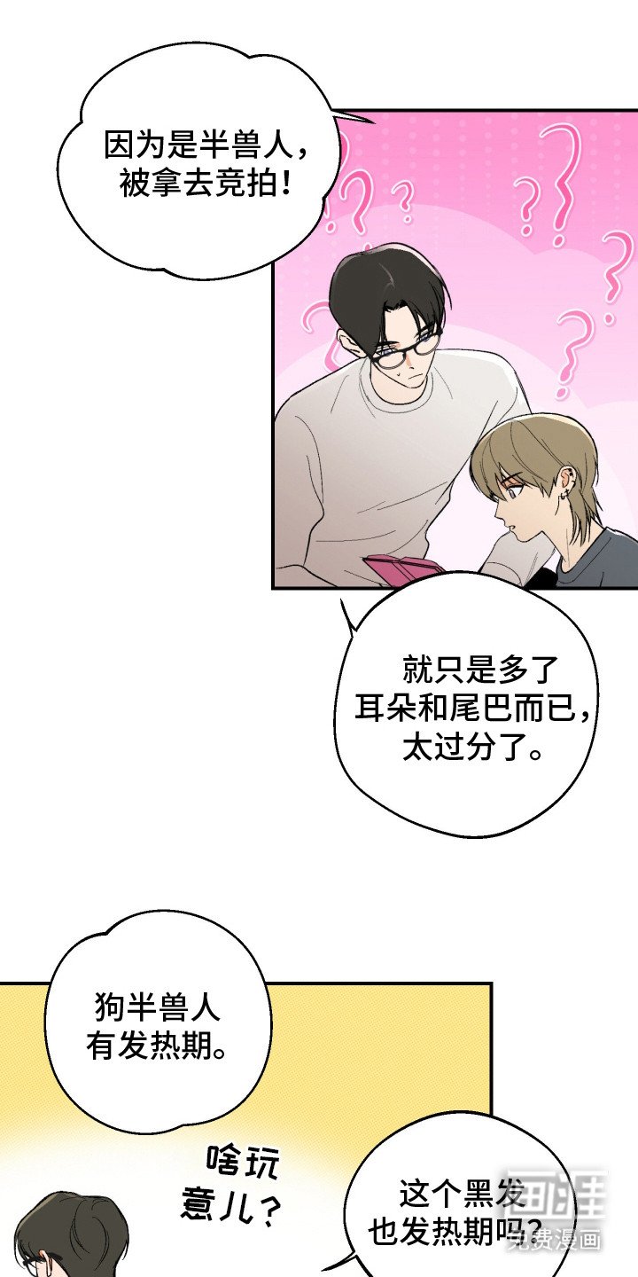 第15章：很吃这套