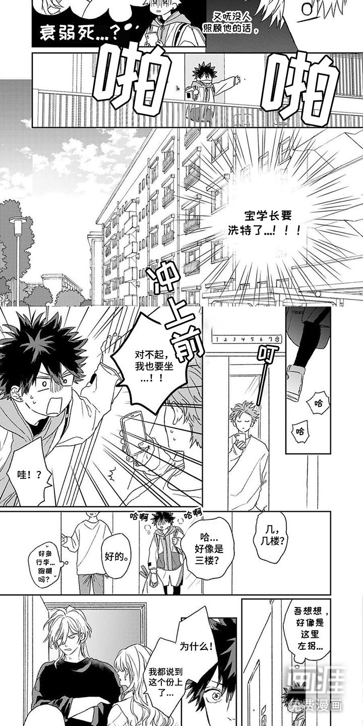 第12章：照看