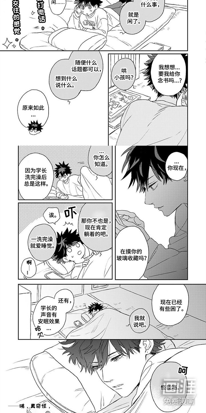 第17章：语音通话