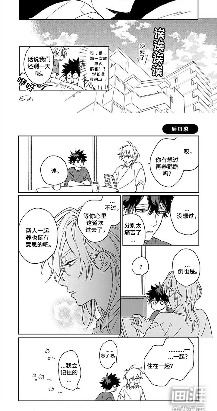 第21章：发你的呆