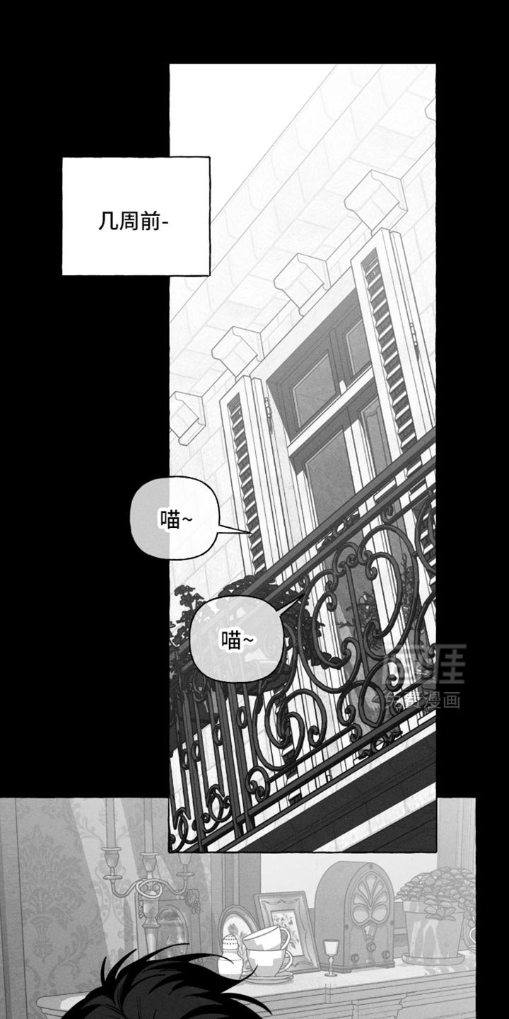 第107章：疼痛