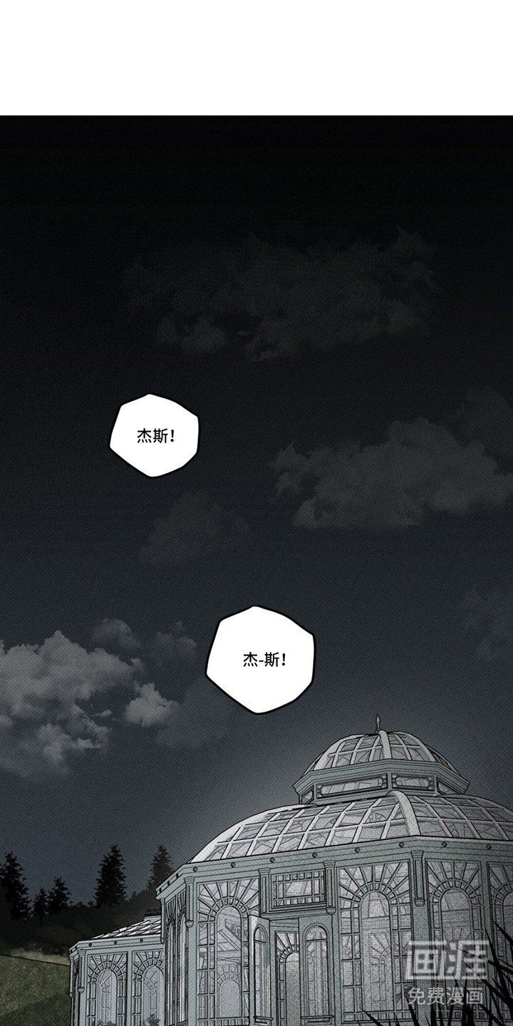 第11章：寻找