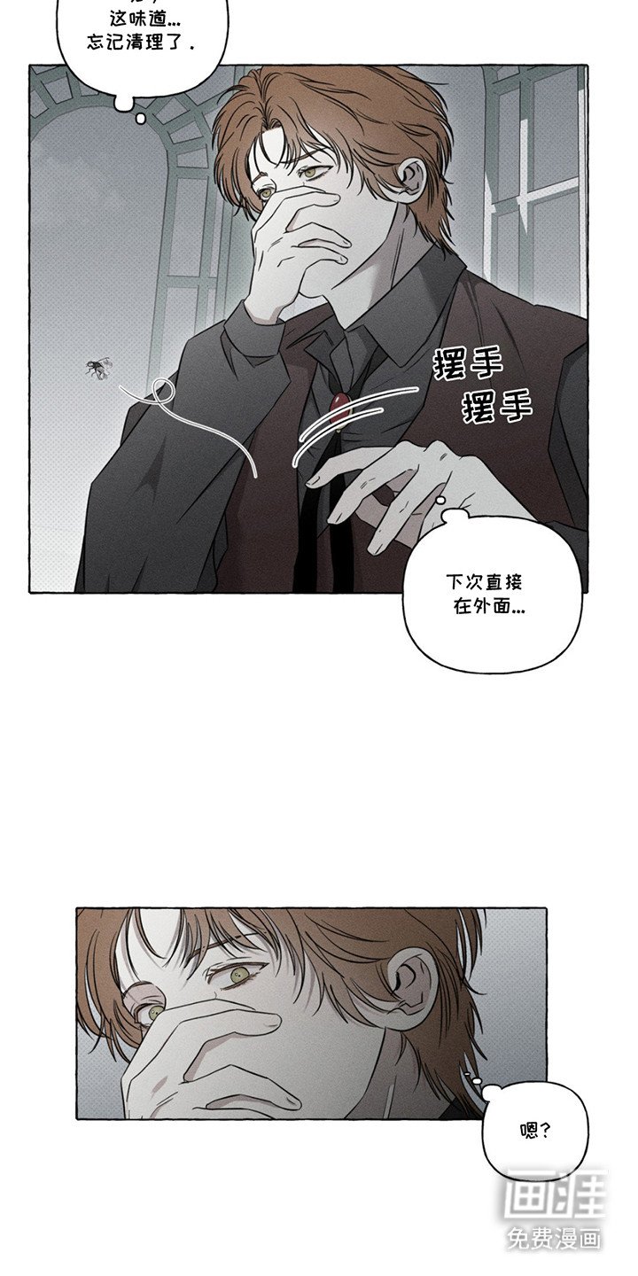 第11章：寻找