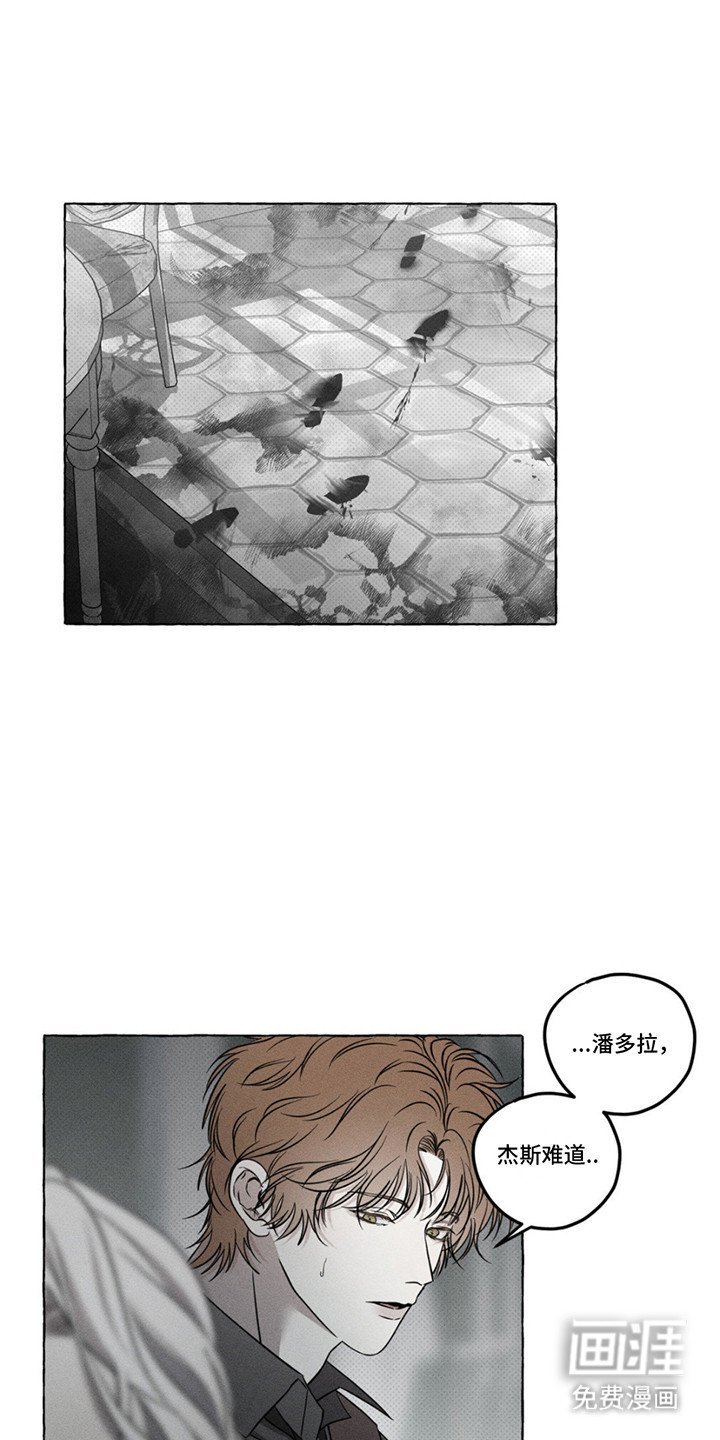 第11章：寻找