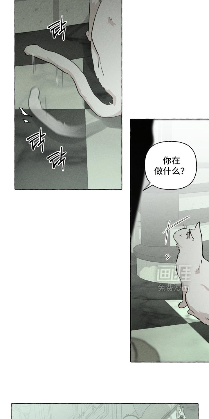 第116章：不自在