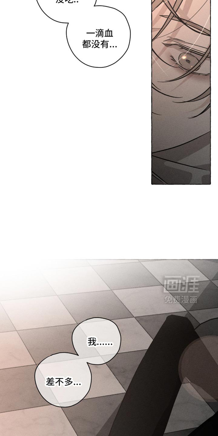 第117章：该肚子饿了