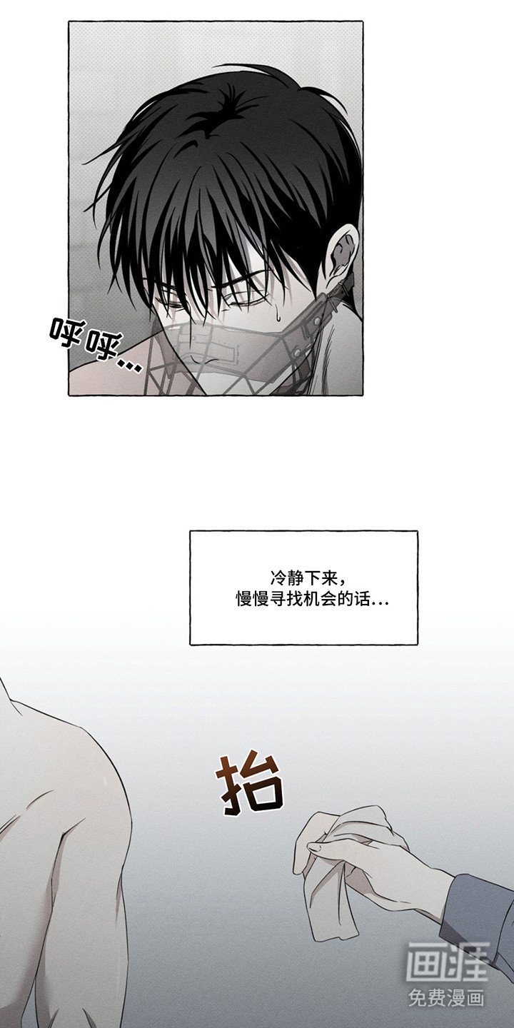 第12章：犹豫
