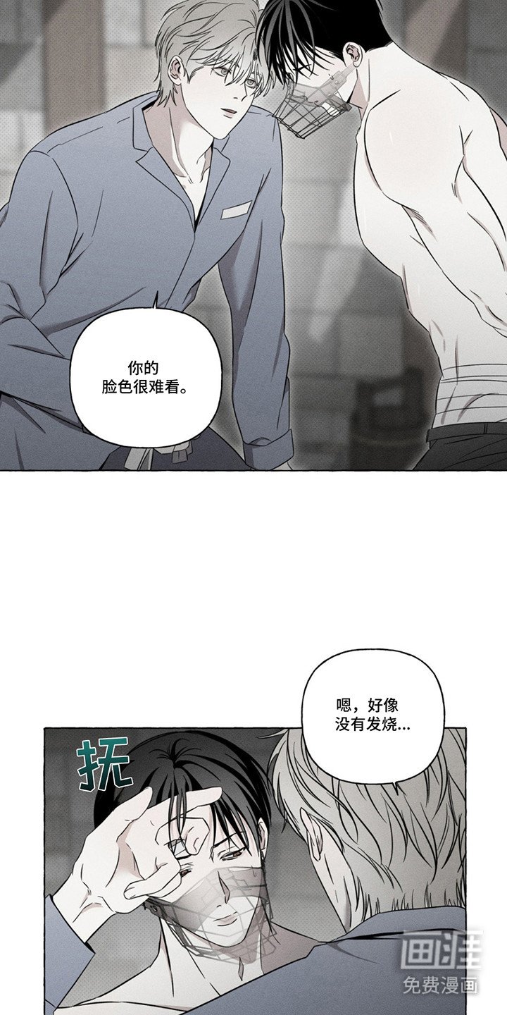 第13章：眼神变了