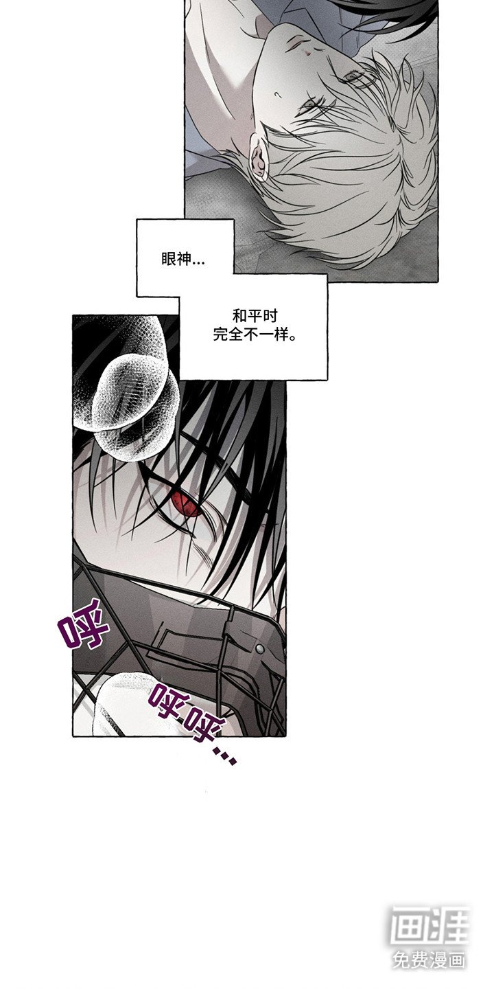 第13章：眼神变了
