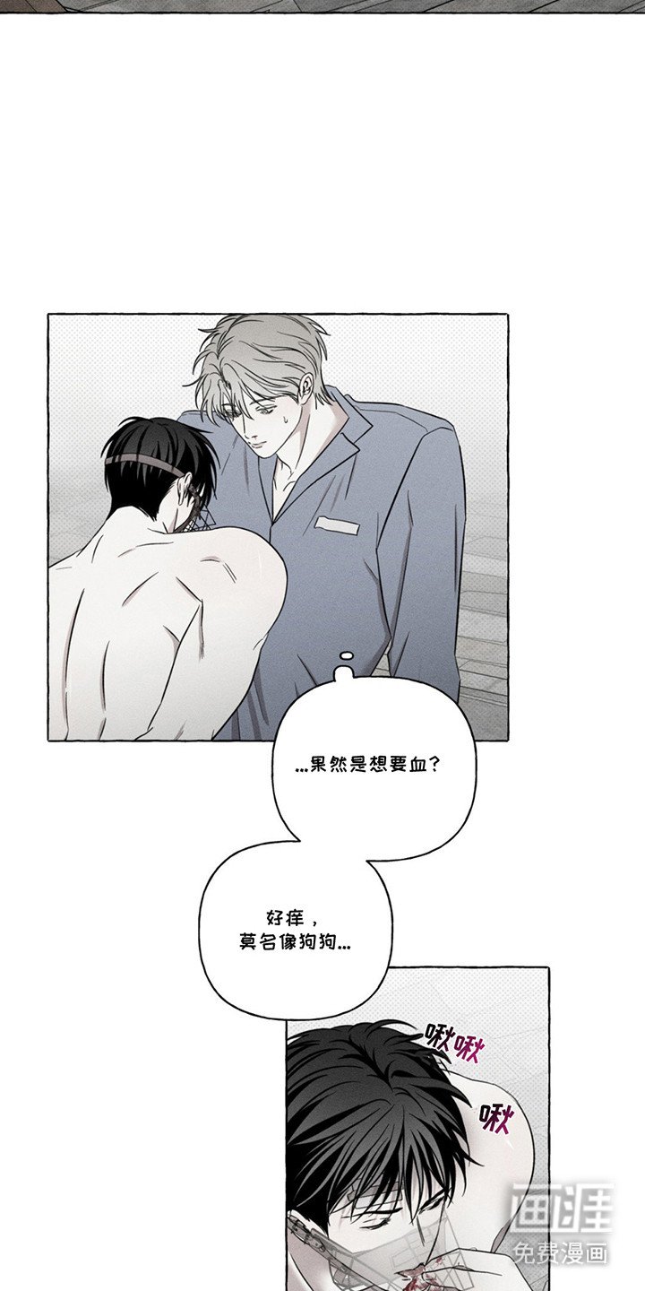 第14章：本能行为