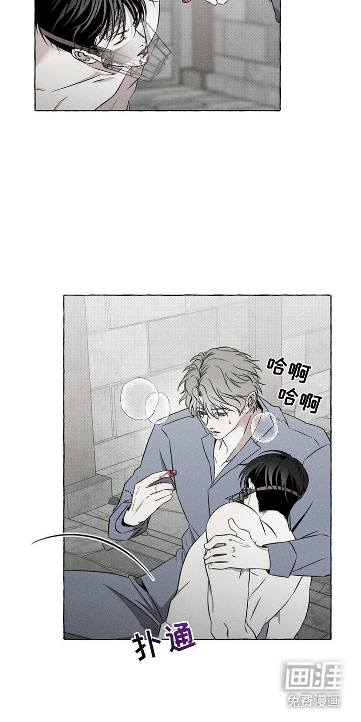 第14章：本能行为