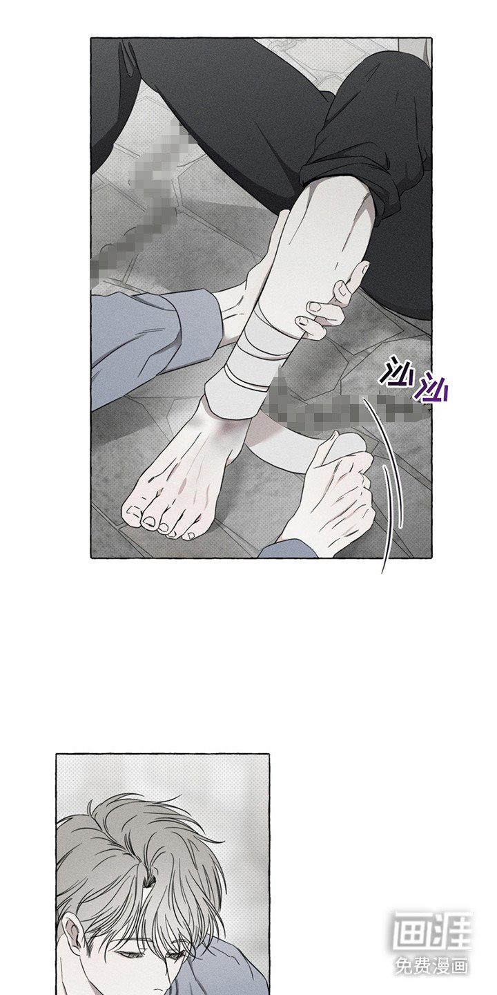 第14章：本能行为