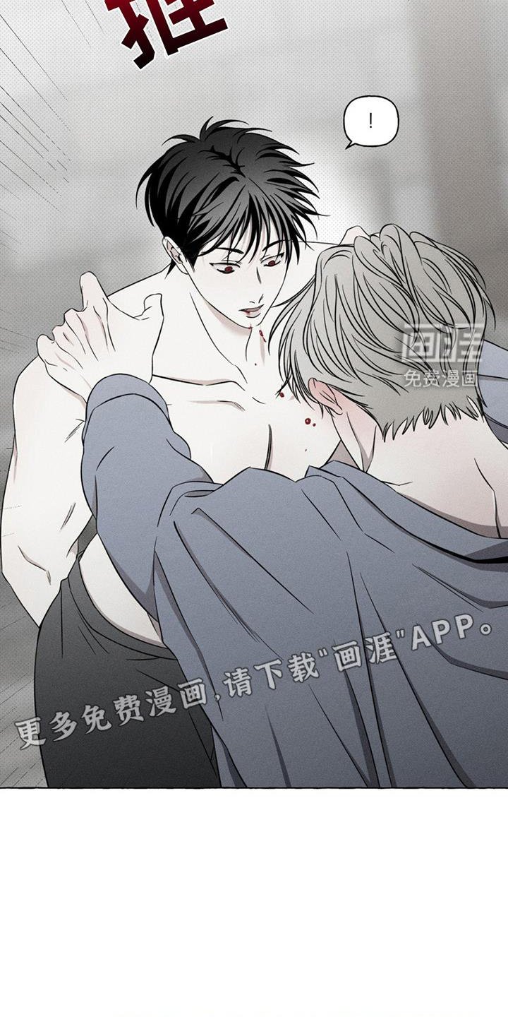 第15章：主动供血