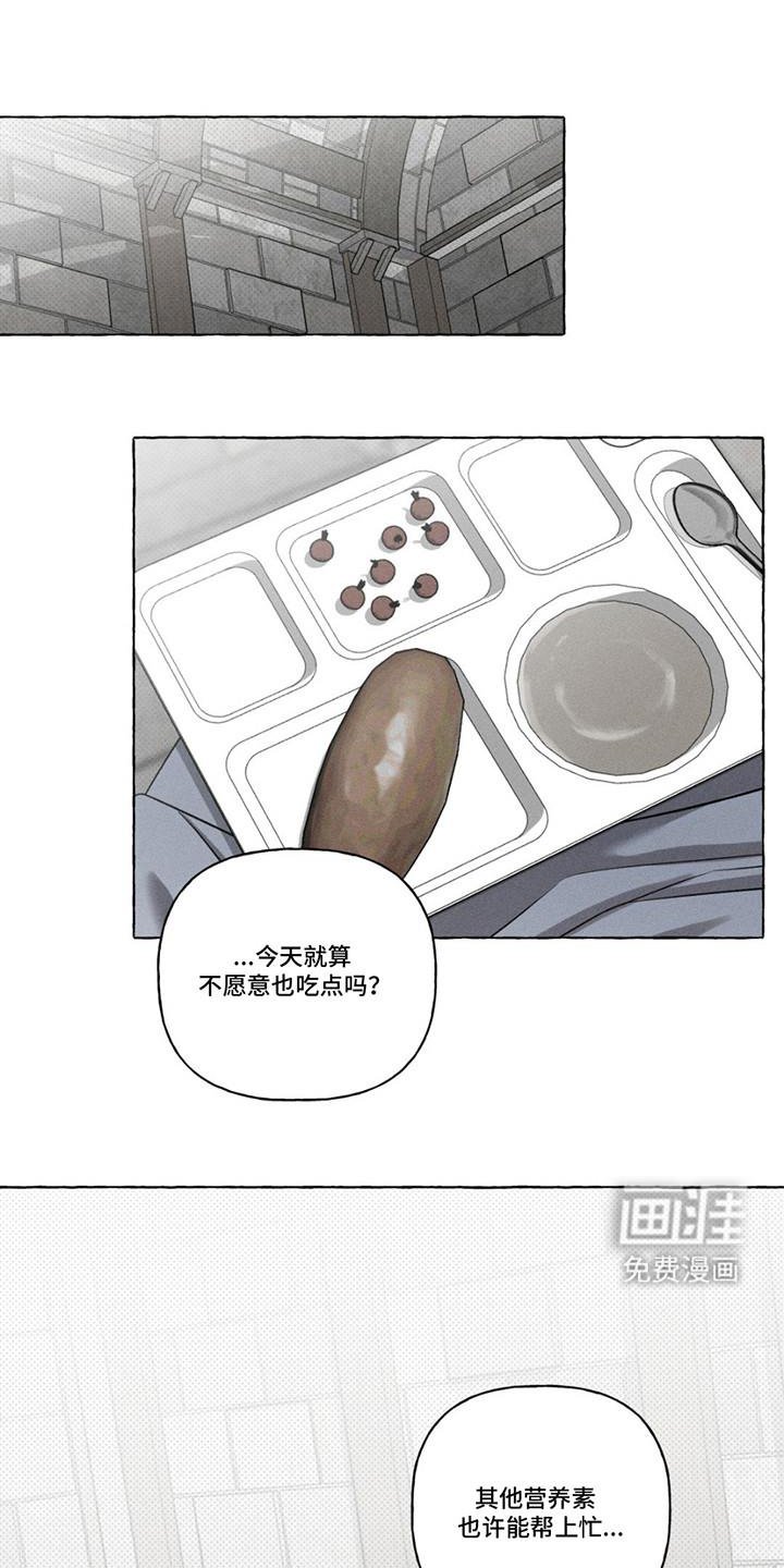 第17章：测试