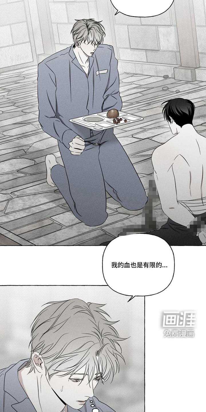第17章：测试