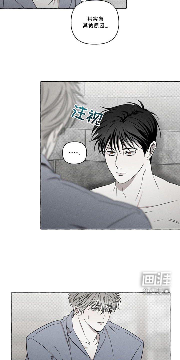 第17章：测试