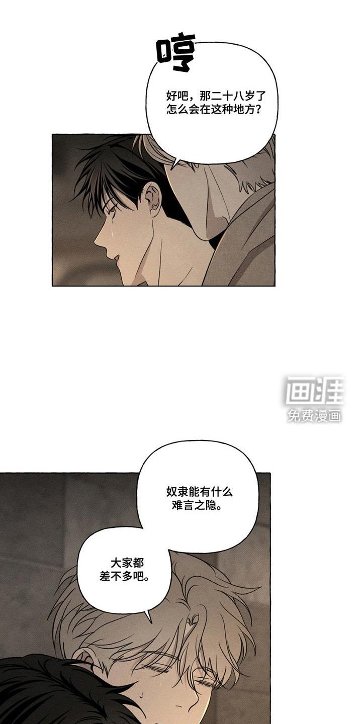 第17章：测试