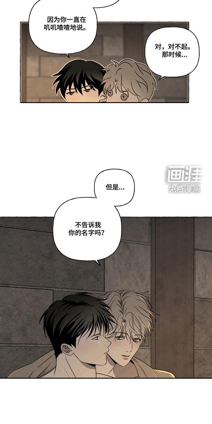 第17章：测试
