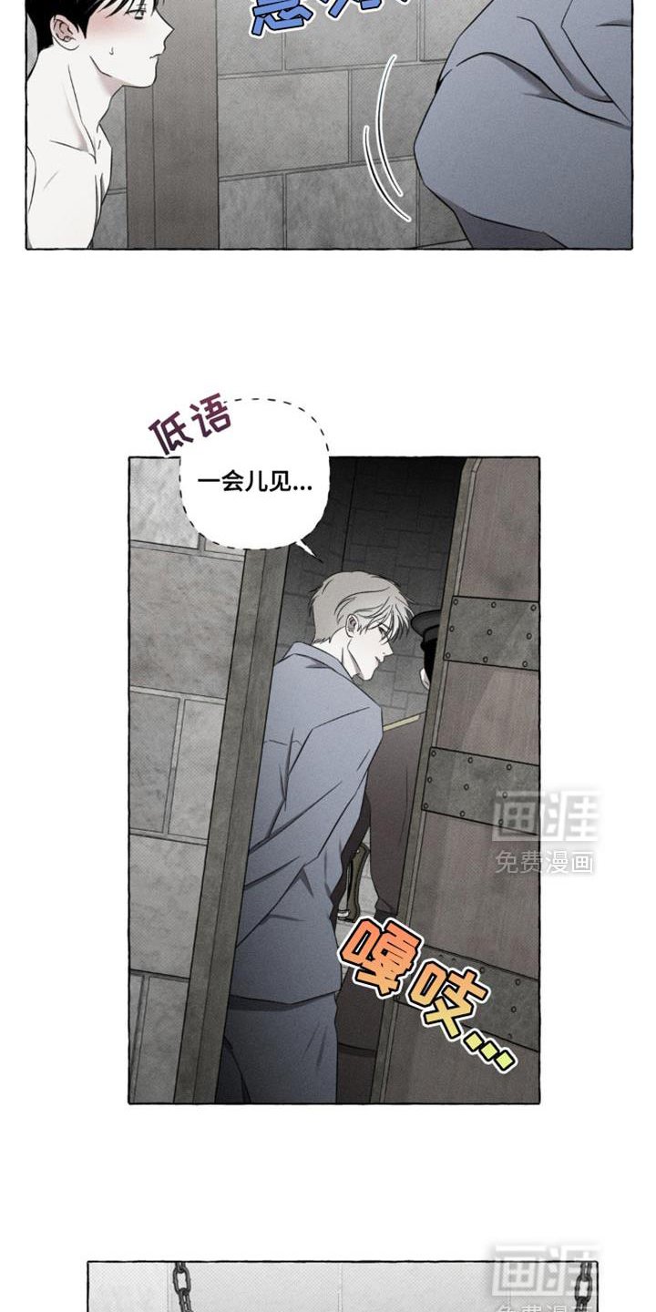 第19章：神秘之美